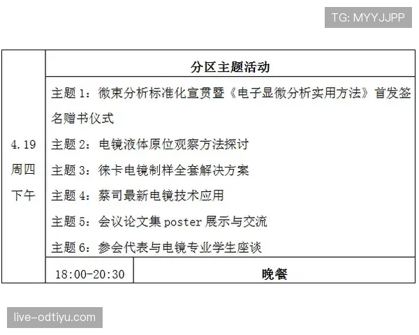 全面剖析教练技术犯规规则的具体判定标准
