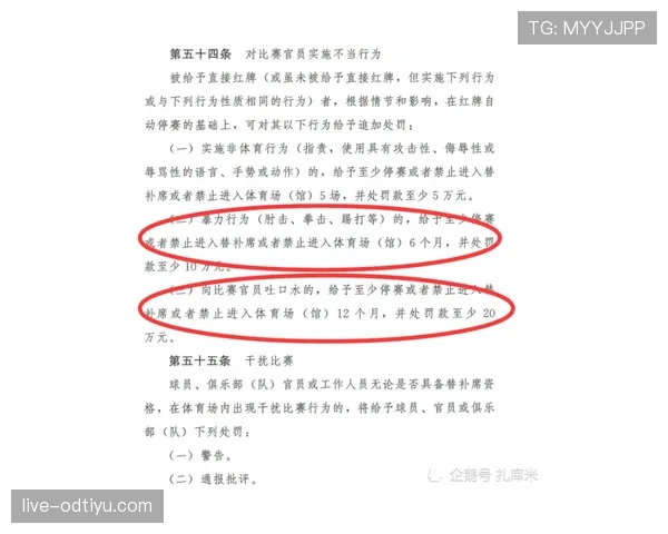 裁判哨音在比赛判罚中的作用与规则规范详解